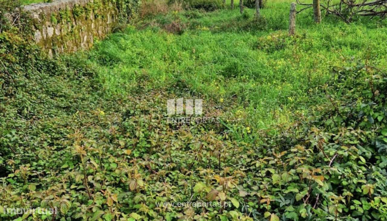 Venda de Terreno, Cardielos, Viana do Castelo - Grande imagem: 5/20