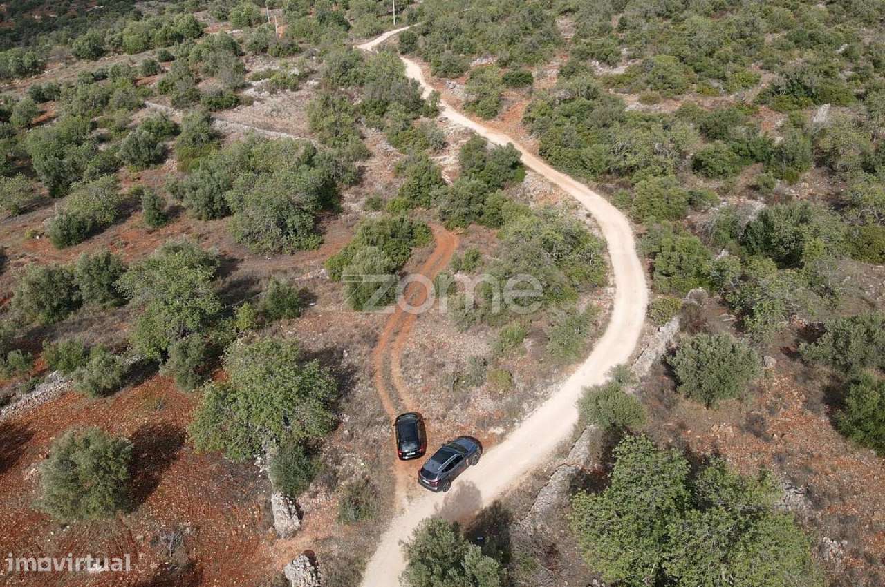 Terreno Rústico em Cerro Monte Brito com 11.460m2 - Grande imagem: 4/25
