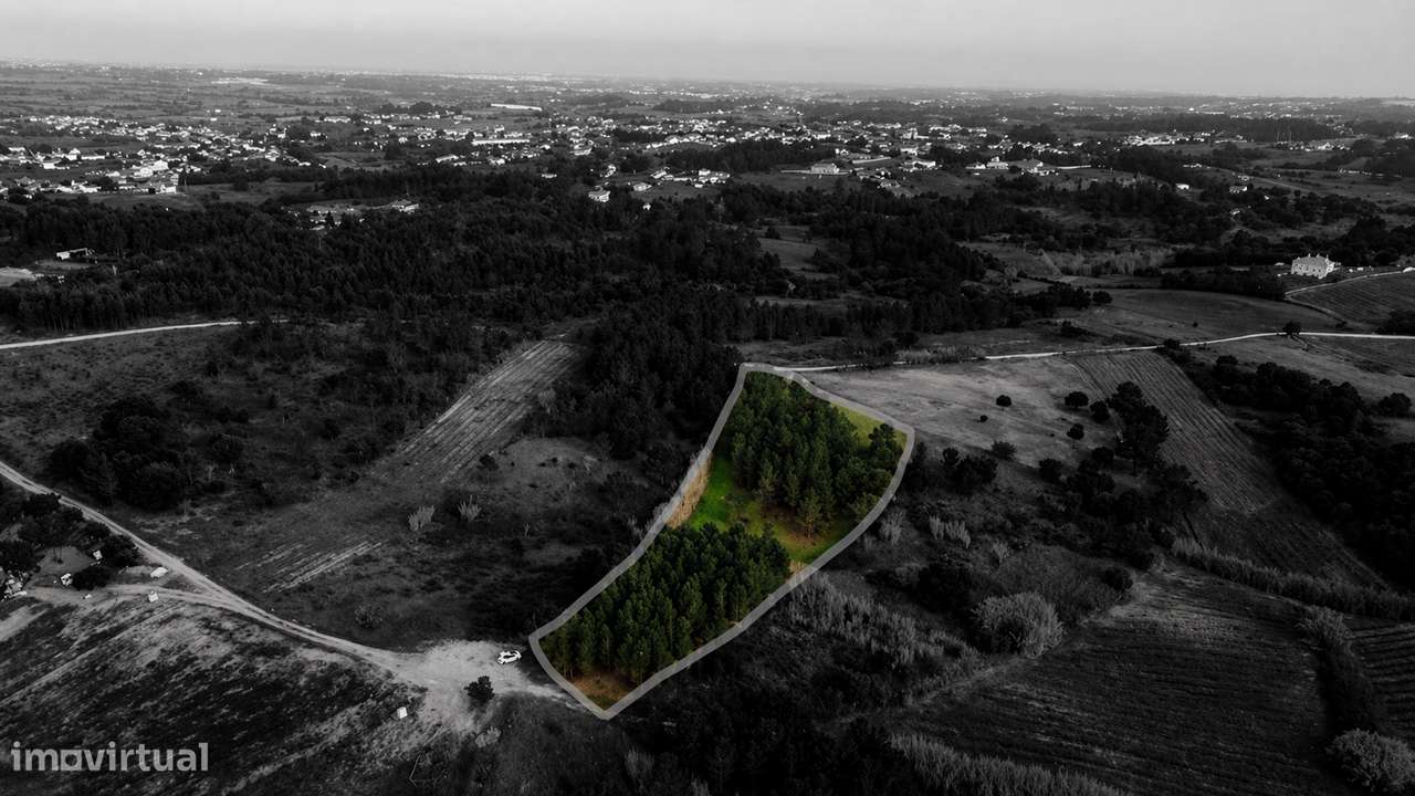 Apresento terreno com total de 5 520m2, localizado na Lapa, Cartaxo-11