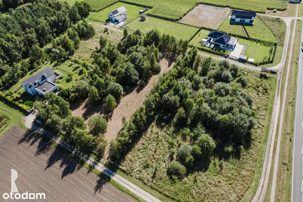 Działki budowlane w otoczeniu zieleni |Cerekwica| - Pełny obrazek: 5/8