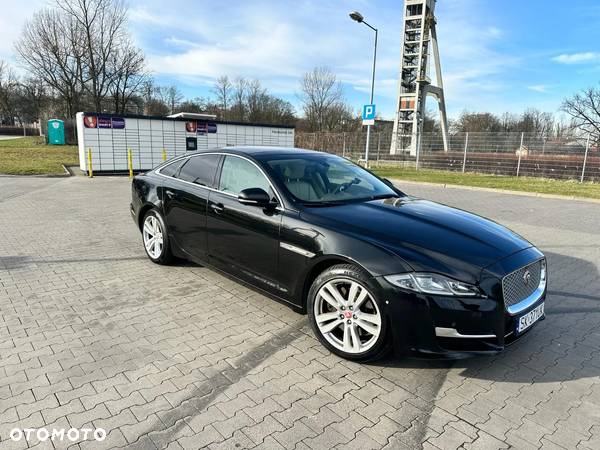 Jaguar XJ 3.0 D V6 Premium Luxury - 3