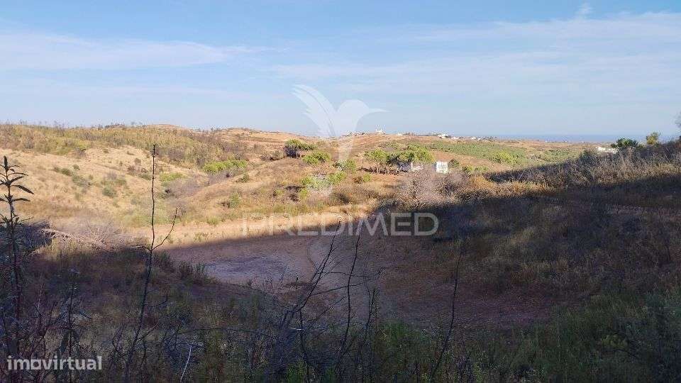 Terreno misto para construção de turismo rural Tavira - Grande imagem: 4/23