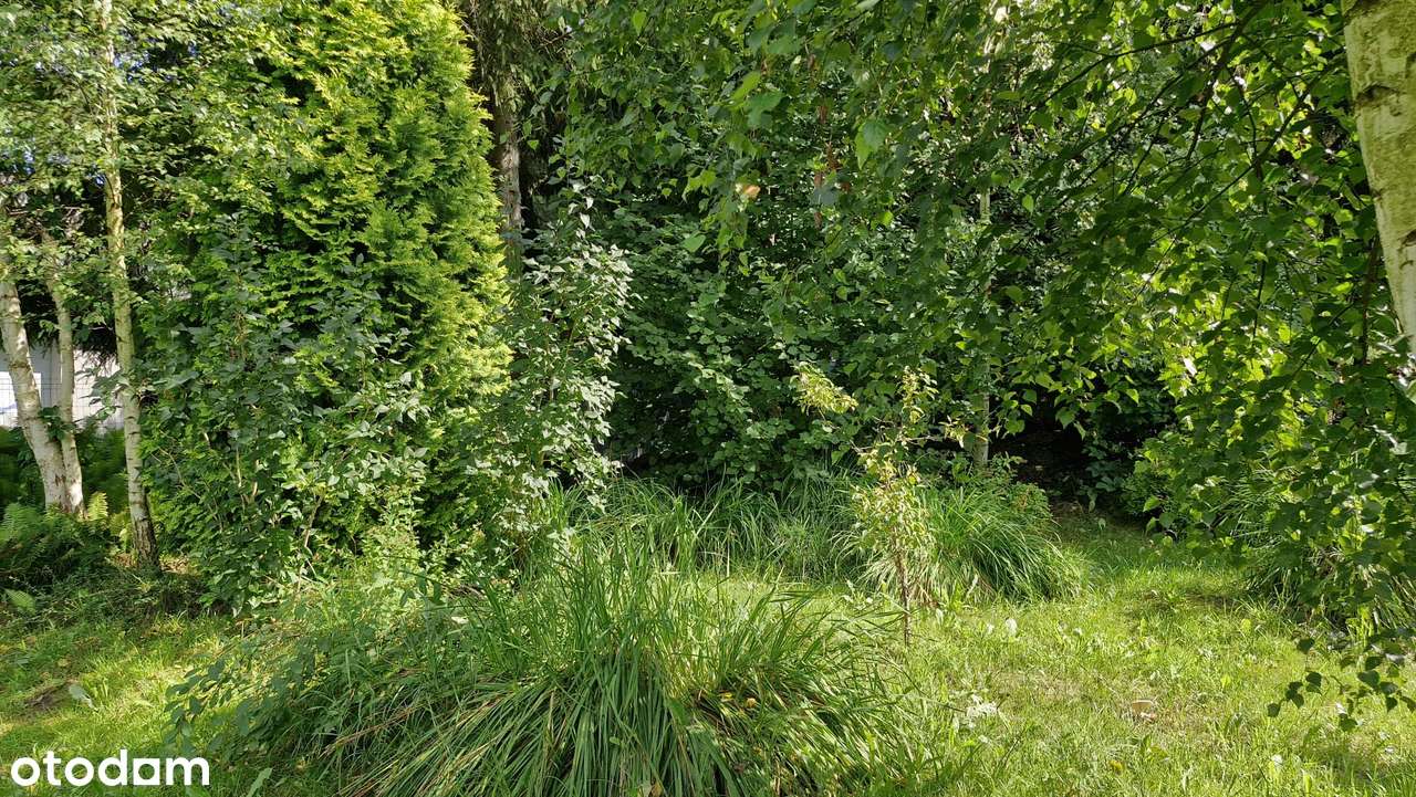 Super oferta. Dom w Królewcu gmina Smyków.-10