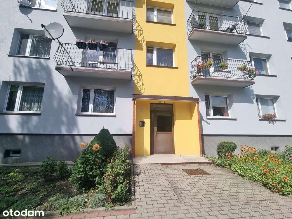 Mieszkanie 3 pokojowe na parterze, blisko lasu.-3