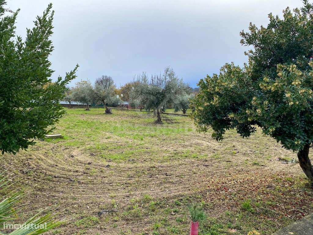 Moradia Independente Em Escalos De Baixo-57