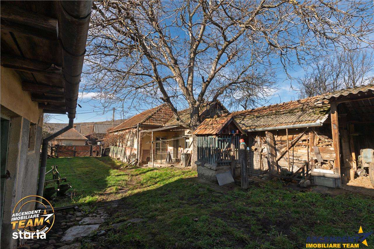 FILM! Domeniu de 6.221mp, livada pomi fructiferi+casa si anexe,Lemnia,-15