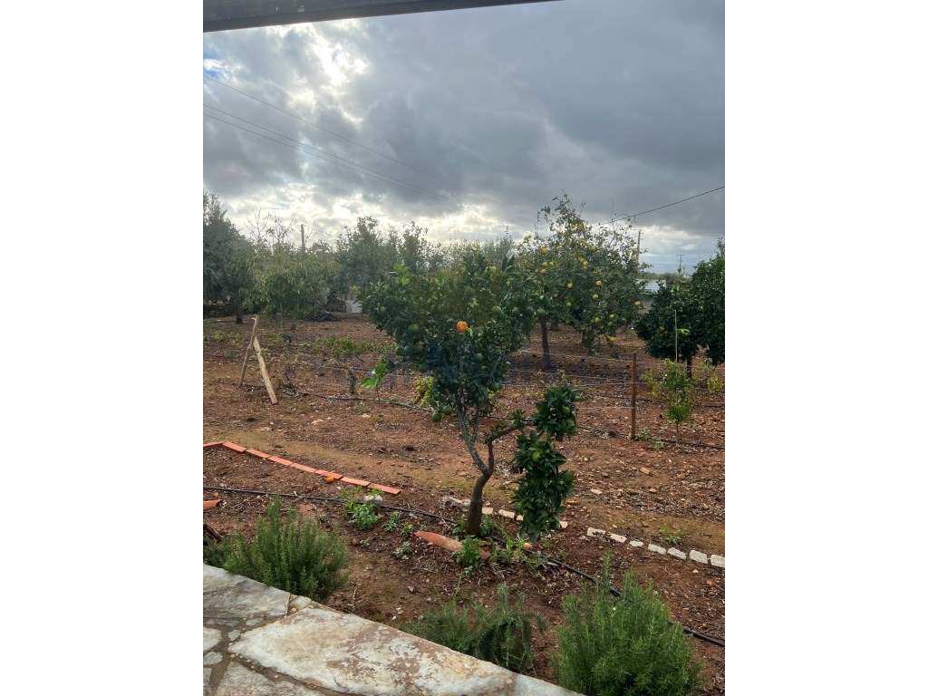 Vende-se Moradia T3 c/ Piscina em Vila Boim-33