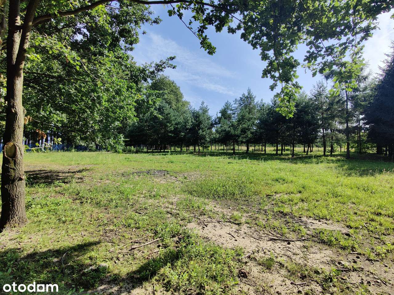 Ogrodzona rolno-budowlana w Janowie-17