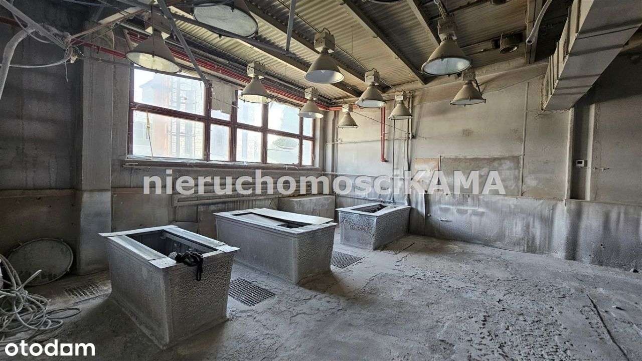 Hala/Magazyn, 454 m², Łodygowice - Pełny obrazek: 4/13