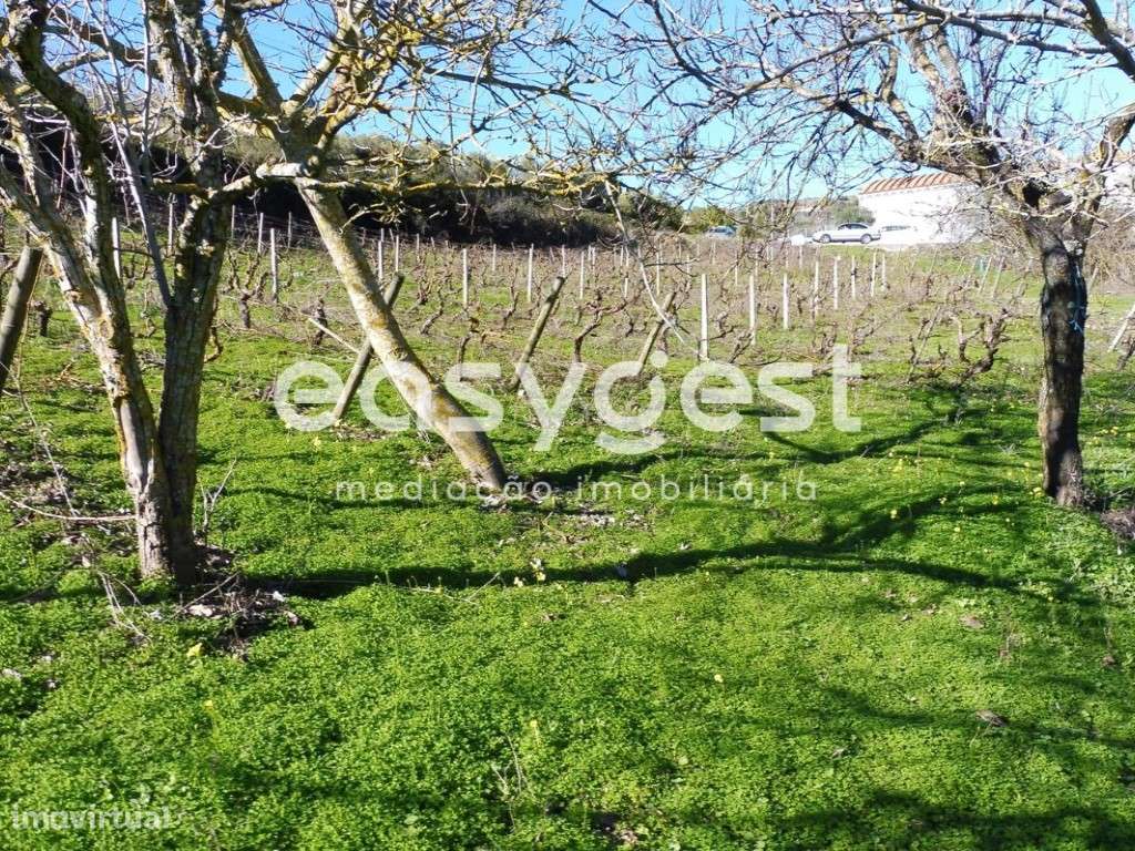 Terreno na Calhandriz - Grande imagem: 4/7