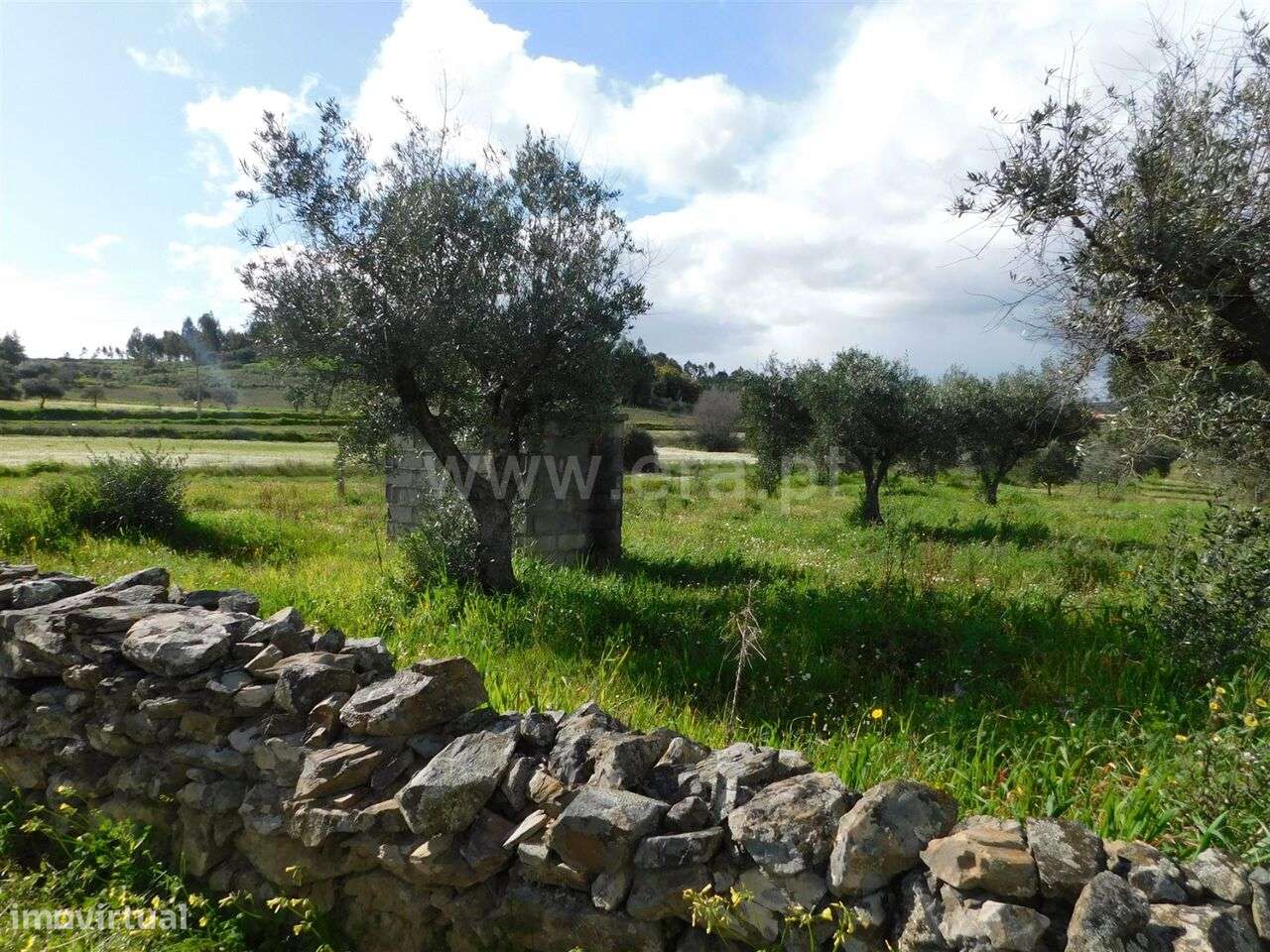 Quintinha / Fundão, Quintas da Torre - Grande imagem: 2/7