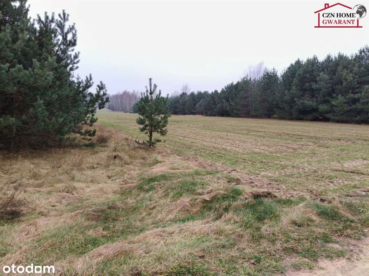 Działka rolno budowlana pod inwestycję. - Pełny obrazek: 4/14