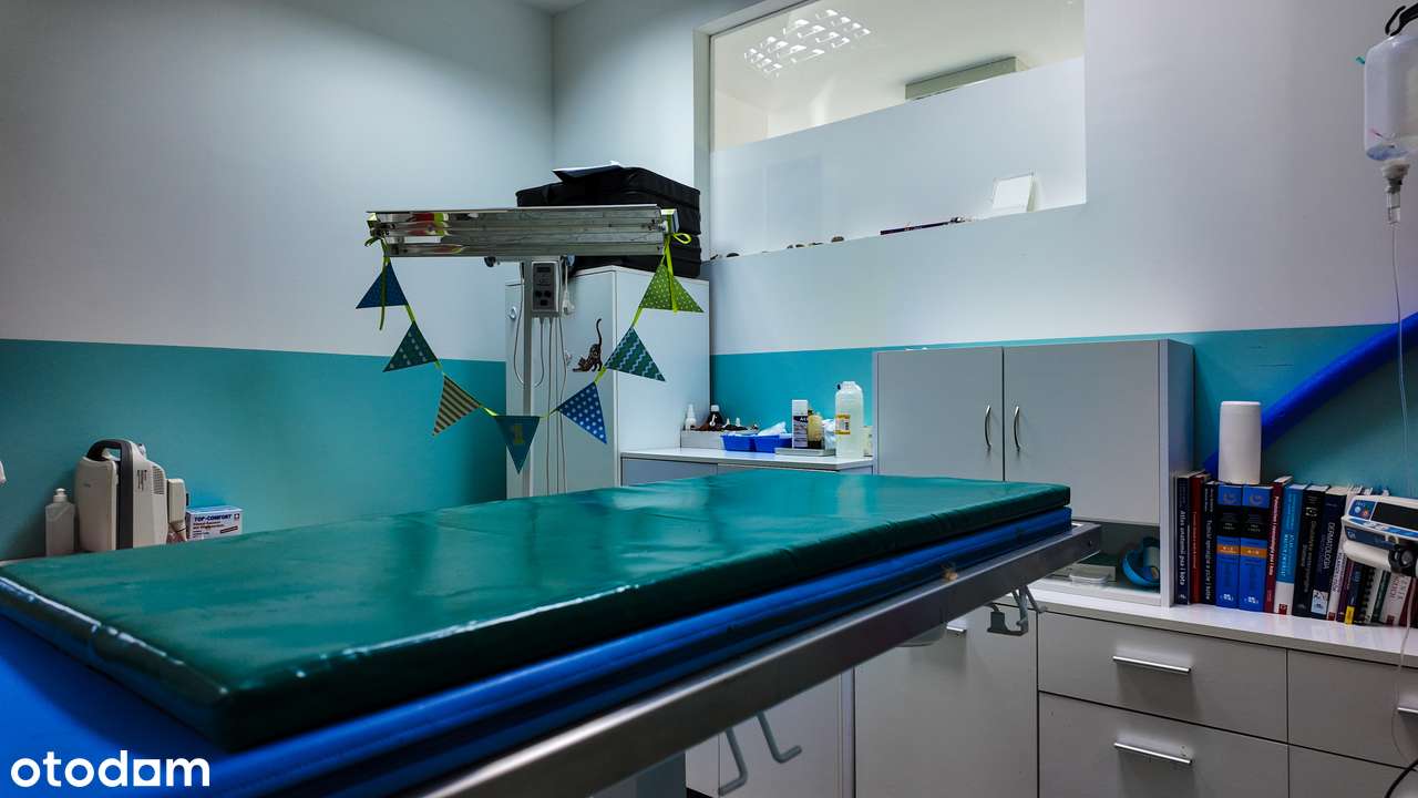 Wolnostojący budynek usługowy w atrakcyjnej lokalizacji - Pełny obrazek: 5/18