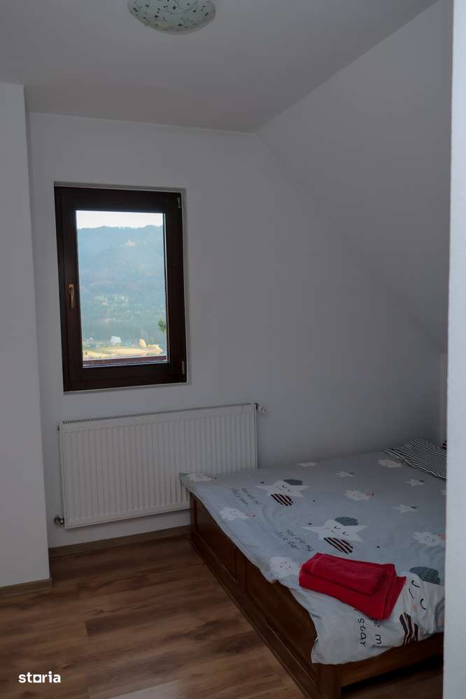 Cabana Colibita - 12 camere baie proprie - 550mp-10