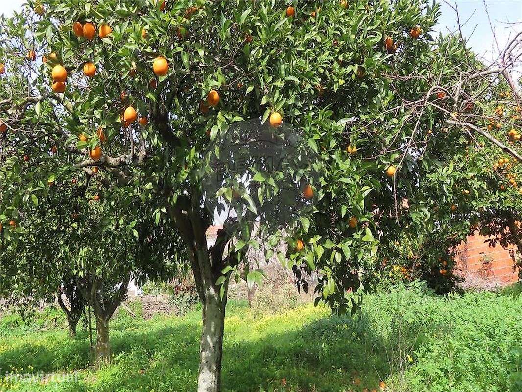 Moradia T2 para venda-34