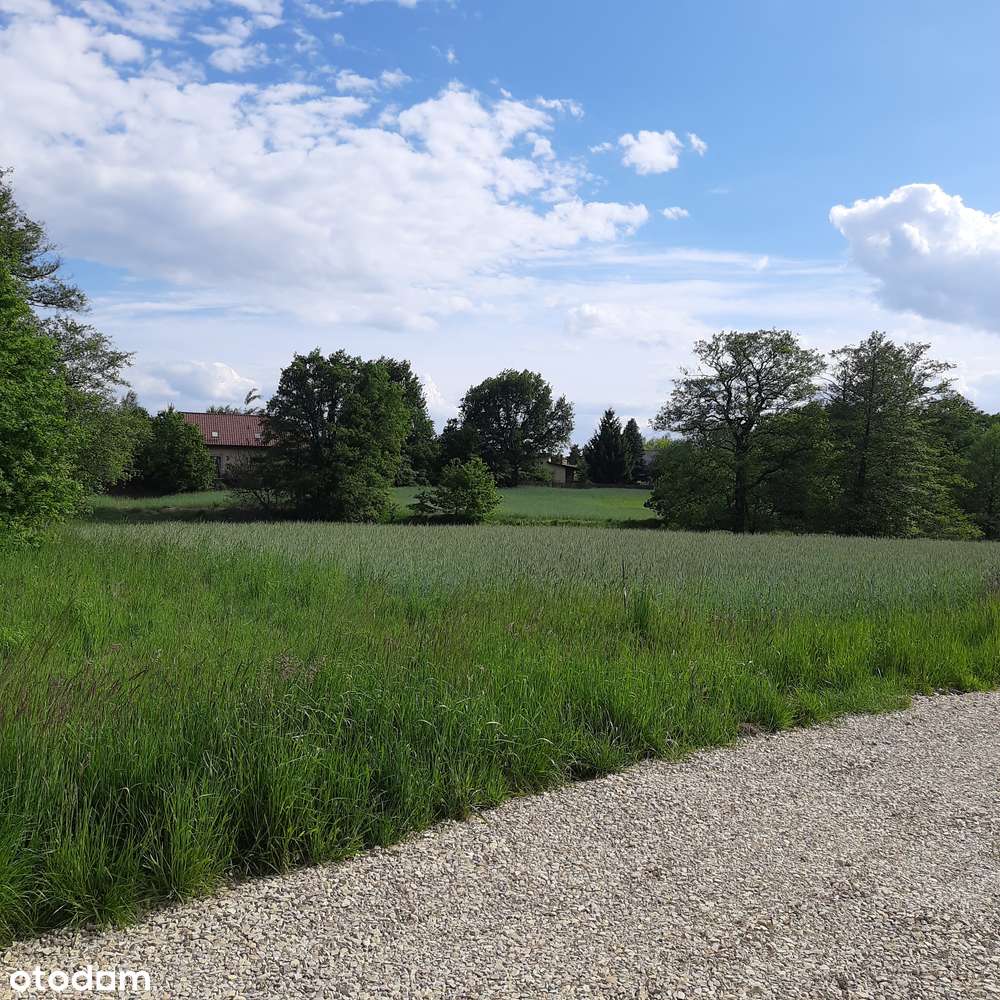 Działka budowlana z mediami w świetnej lokalizacji