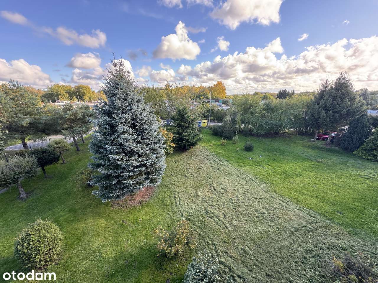 MIESZANIE 2 POKOJOWE W DRZONOWIE-1