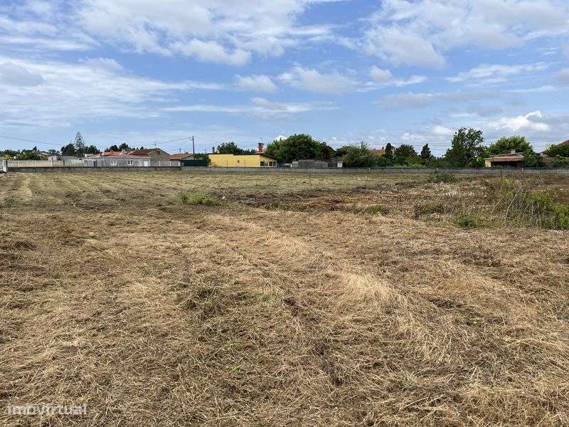 Terreno Volta da Tocha - Grande imagem: 4/12