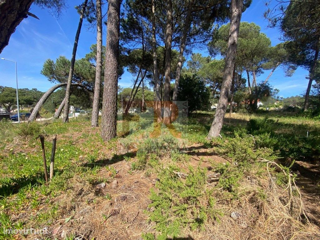 Lote de Terreno com 300m2 Alfarim Lagoa Albufeira