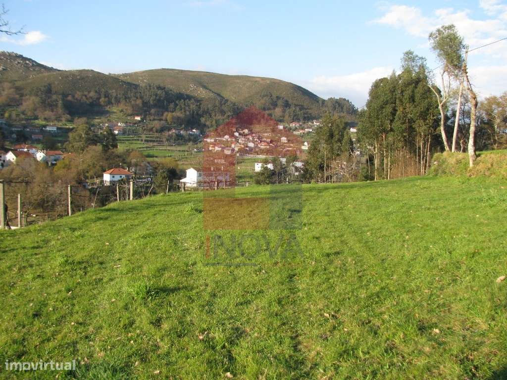 Terreno agrícola, Aboim da Nóbrega - Grande imagem: 4/17