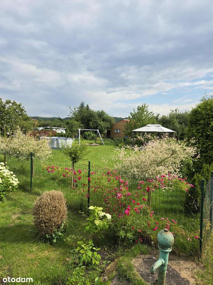 Oferuję przeniesienie prawa do działki ROD-8