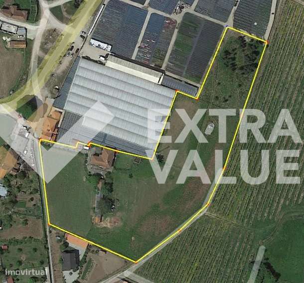 Quinta T6 Venda em Fontoura,Valença-12