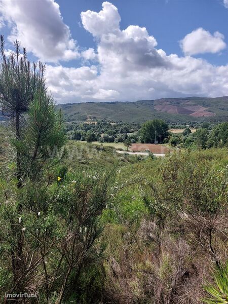 Terreno / Covilhã, Peso e Vales do Rio