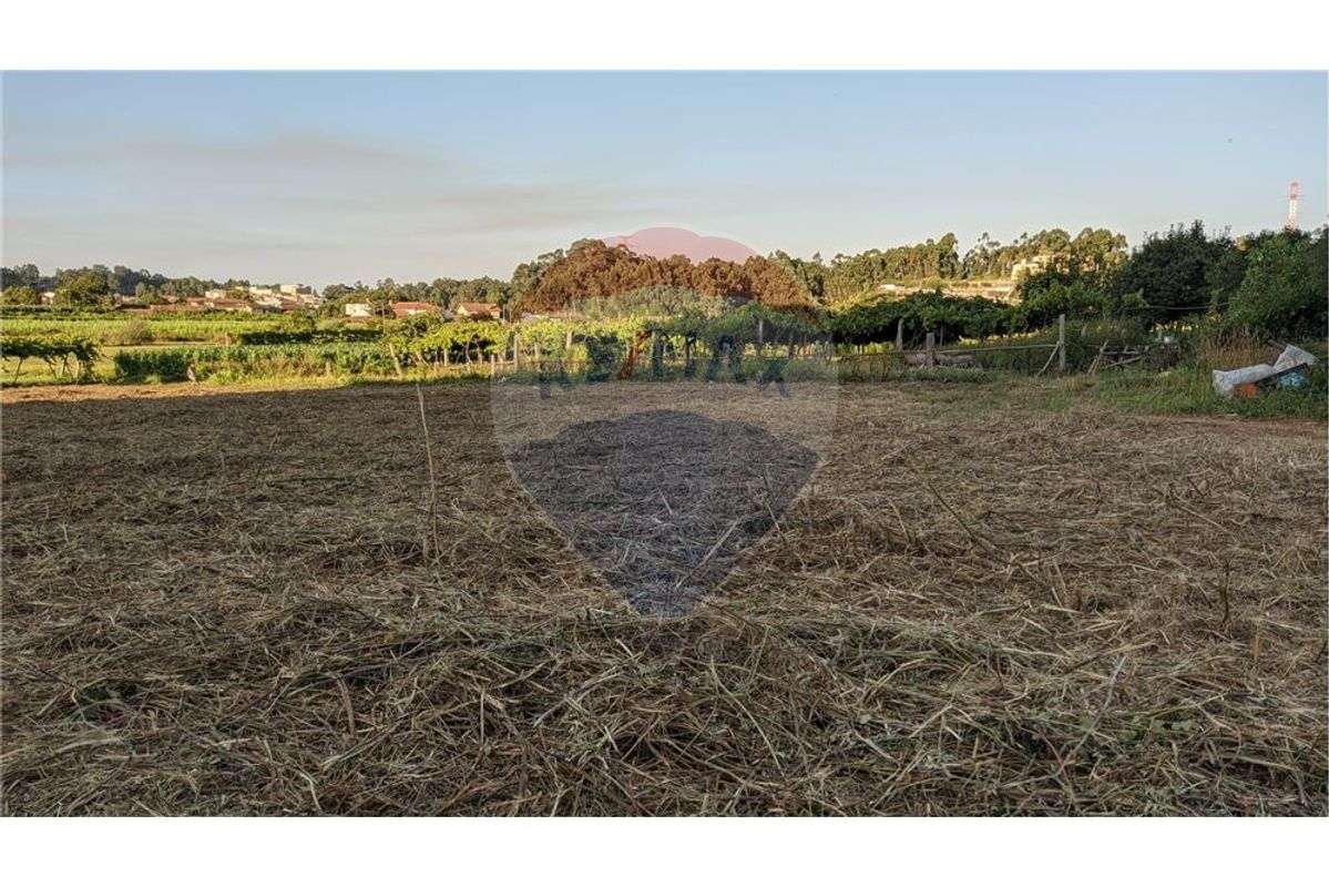 Terreno para construção - Grande imagem: 5/5