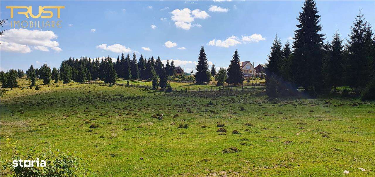 Oportunitare | Teren 1350 mp cu PUZ | Belis-5