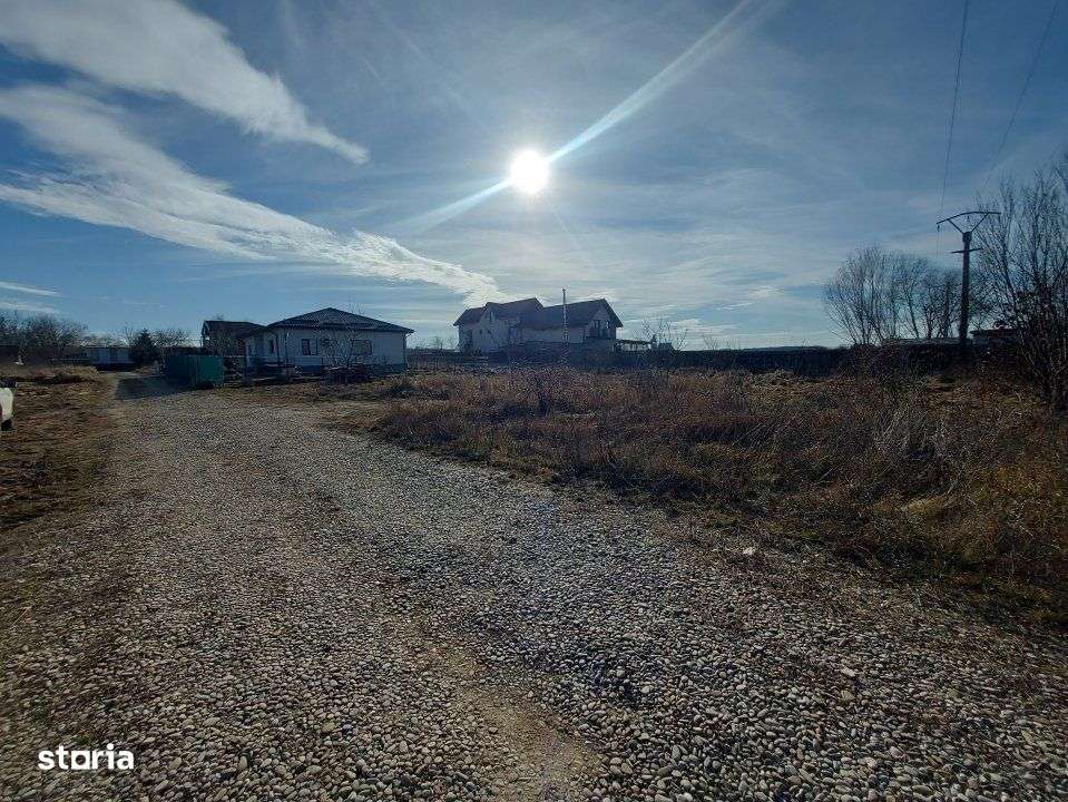 Loc de casa cu utilitati, 944mp cu 29m deschidere, Ciofliceni - Snagov-4