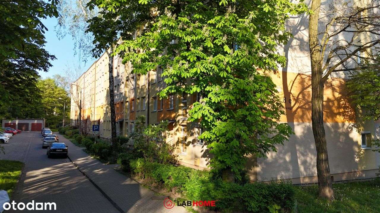 Mieszkanie w sąsiedztwie Parku Śląskiego-1