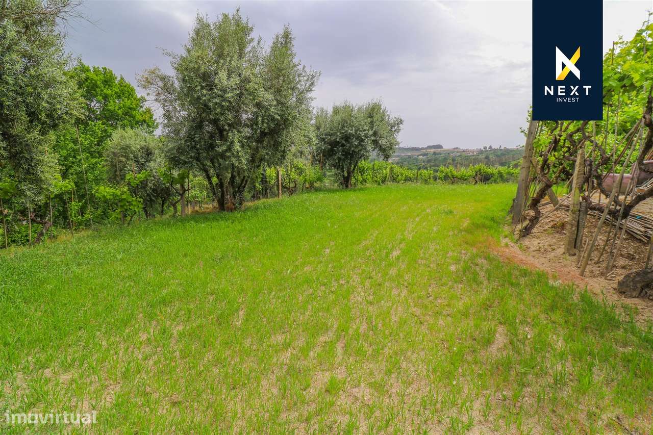 Terreno com 1.200 m² para construção-7