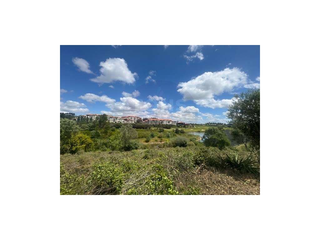 Terreno Urbano no belas Clube Campo com 2 projetos aprovados - Grande imagem: 4/24