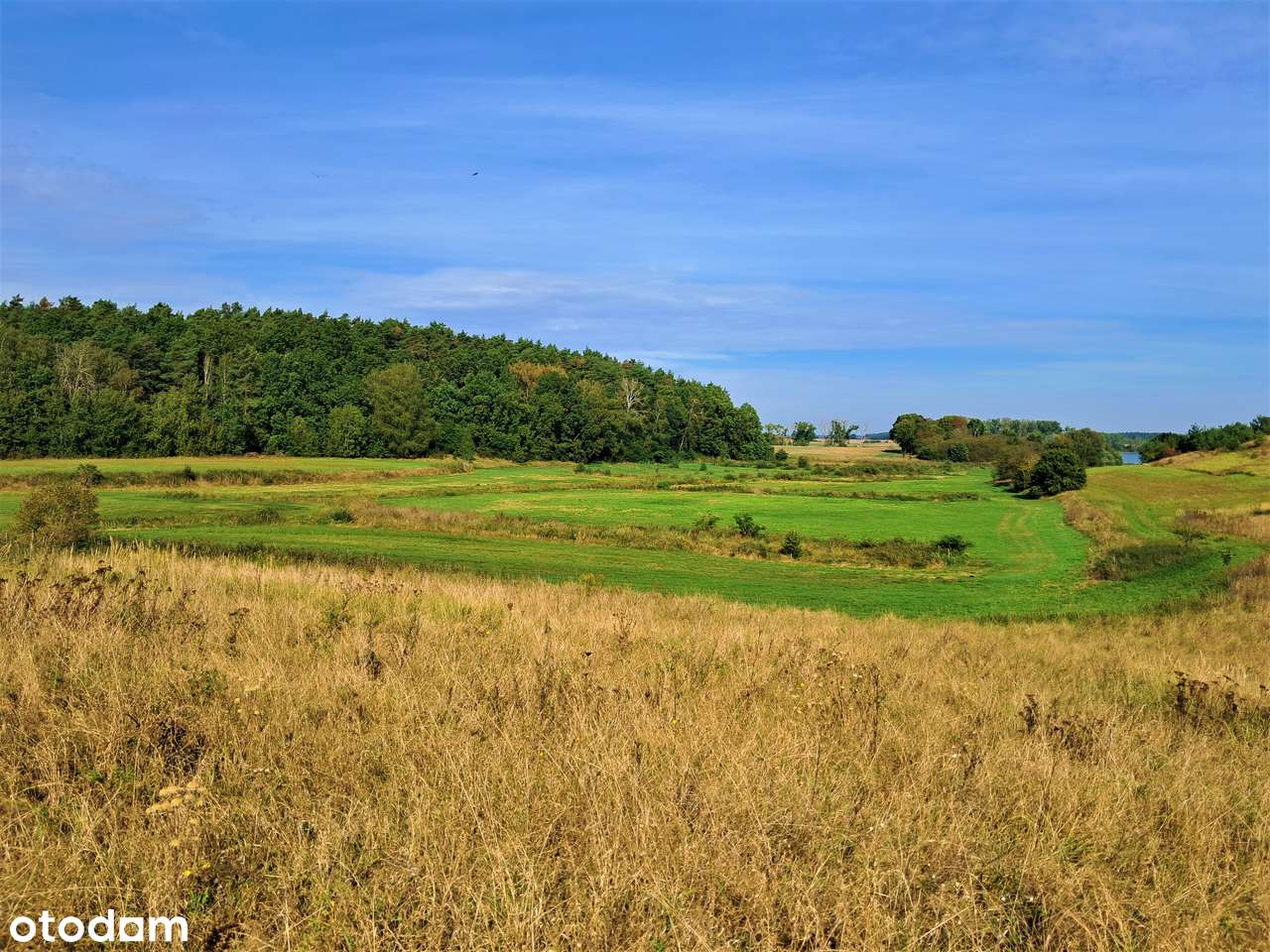 Na sprzedaż 5 działek budowlanych w Ławach z pięknym widokiem-4