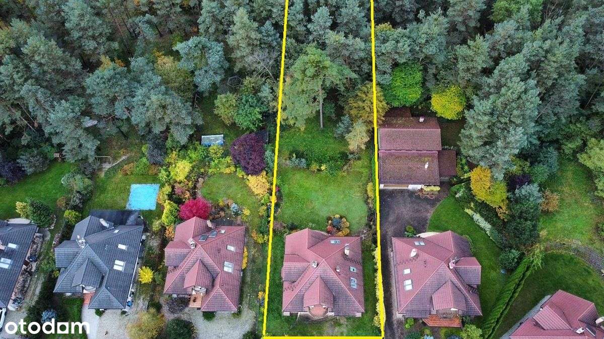 Dom z własnym lasem w Kochlicach-3