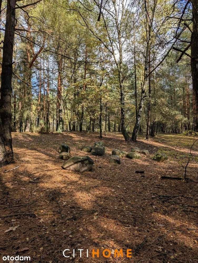 Malownicza działka siedliskowa 1,95 ha – Czarnowie-6