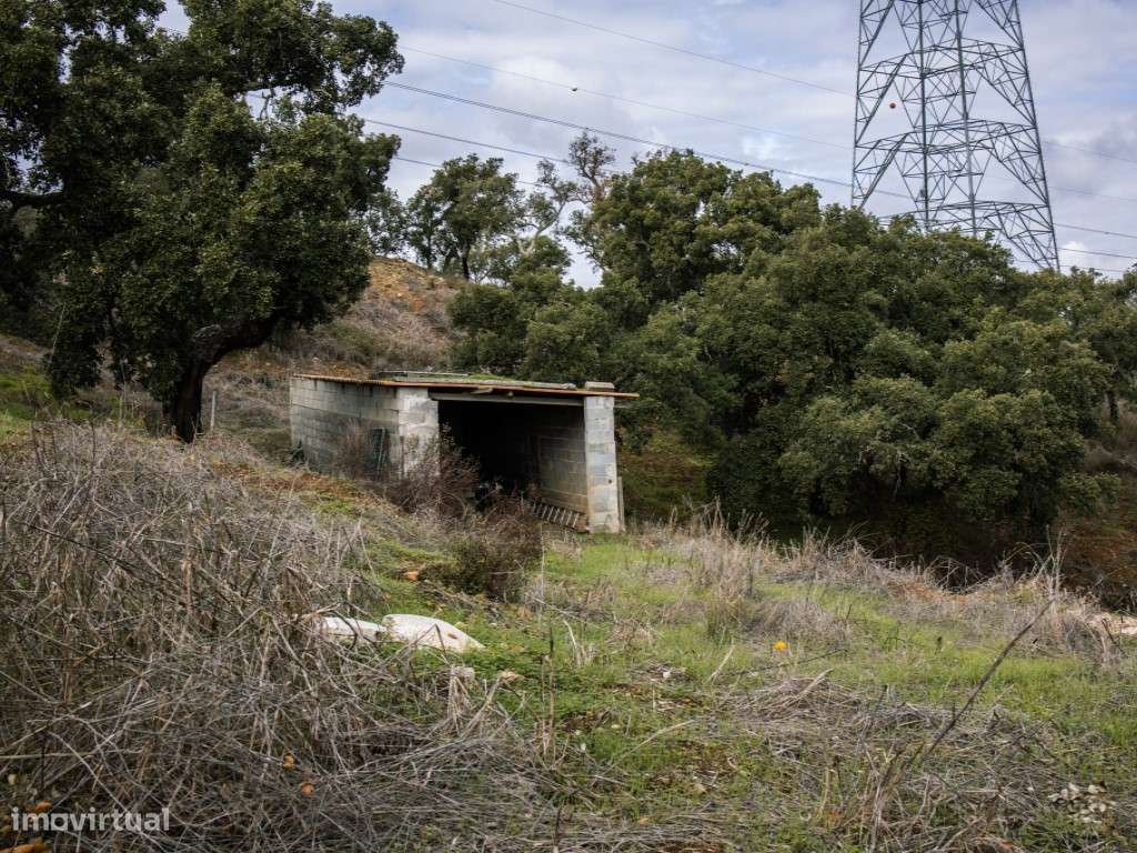 ** Fantástico Monte Alentejano com 50.000m2 Próximo a Maravilhosa C...-46