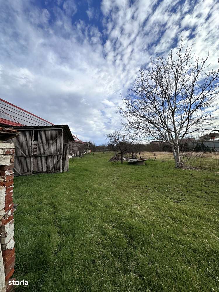 Casă și teren centric - Santana, Arad  |  locuit/afacere | 1973 mp - Imagine principală: 3/17