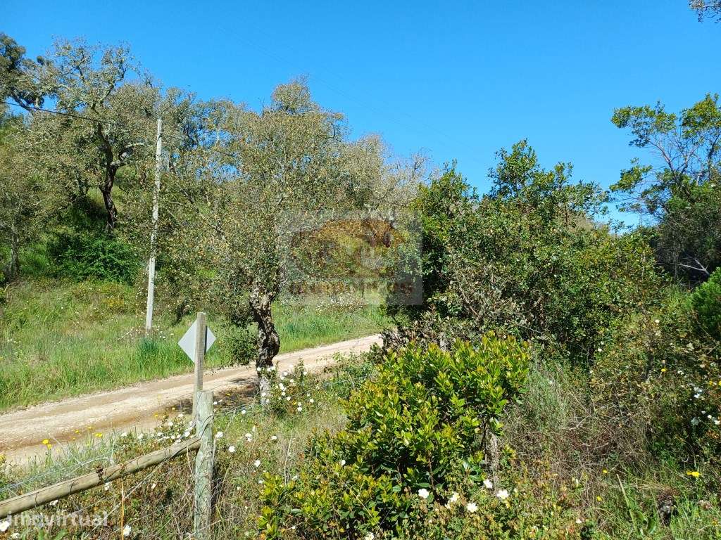 Propriedade na serra para Turismo - 30 minutos das praias - Grande imagem: 2/12
