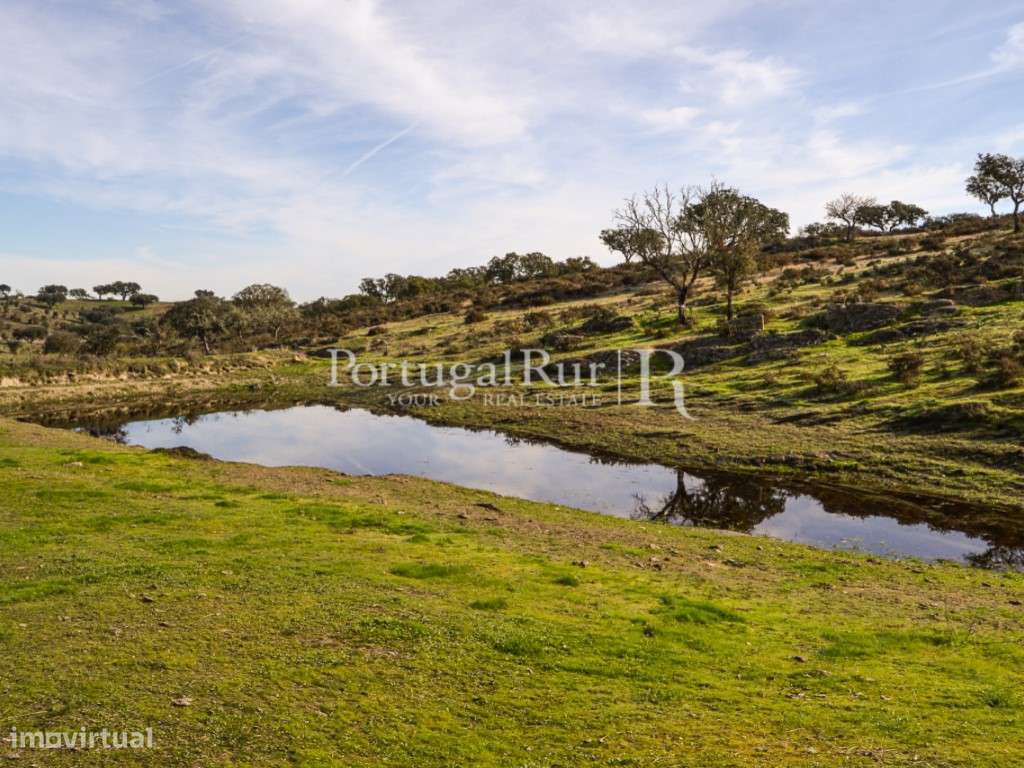 Herdade de 60 ha e monte, em Reguengos de Monsaraz-21
