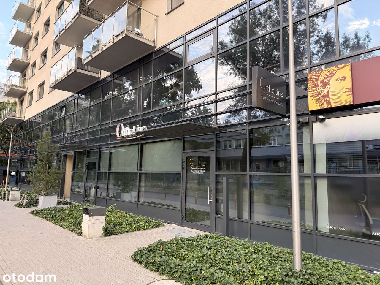 OSTATNI lokal 229 m² | Legnicka 59| 55 firm w obiekcie |Magnolia 650 m-5