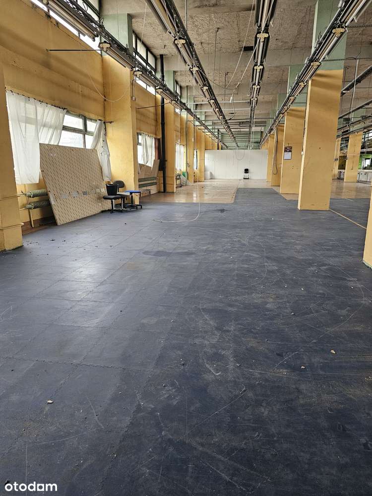 lokal magazyn produkcja - Pełny obrazek: 4/12