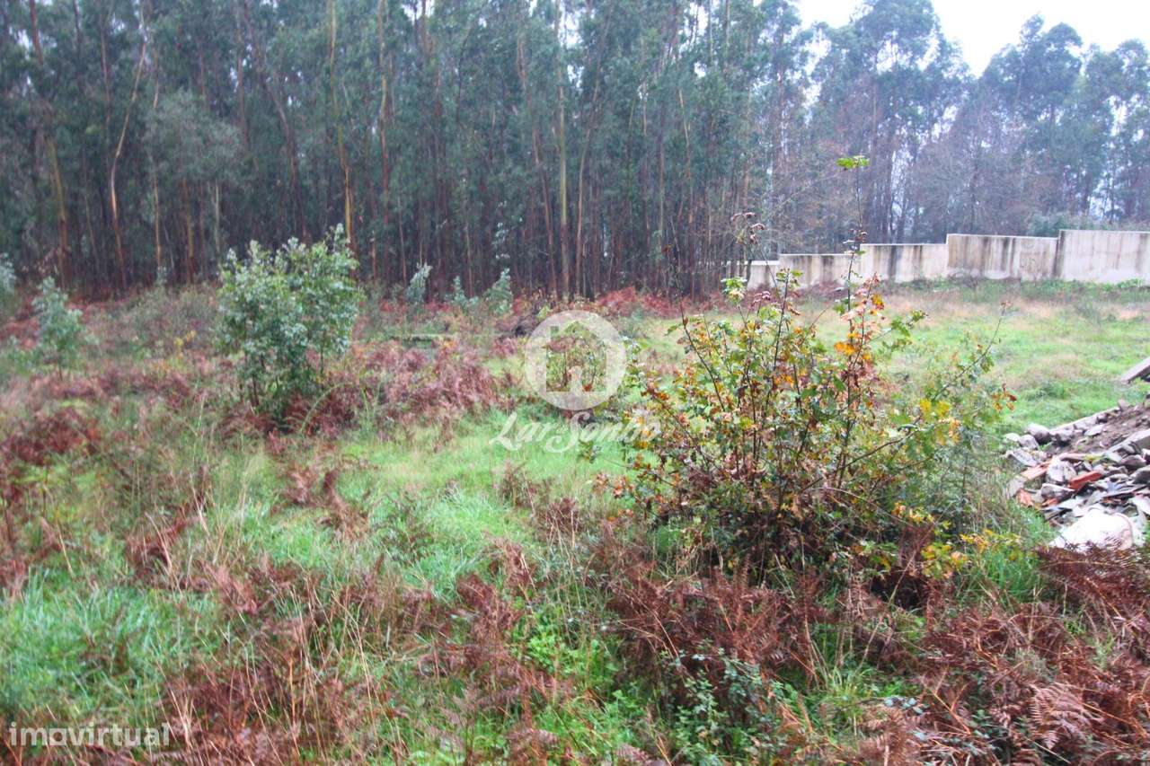 Terreno para Construção de moradias - Grande imagem: 2/24