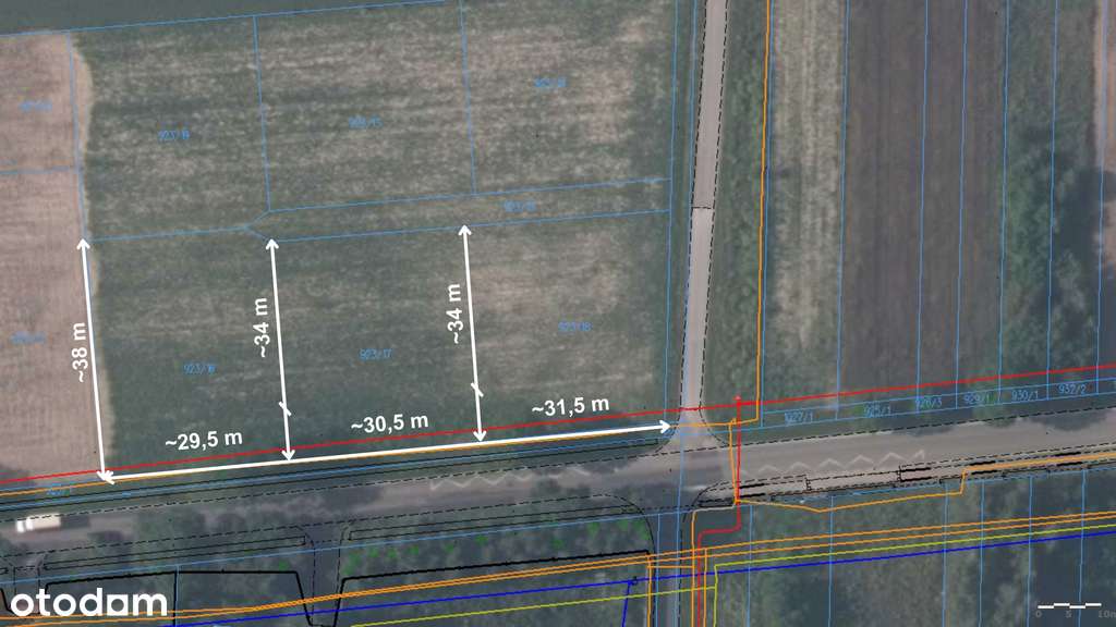 Działki budowlane / Lasy Kozłowieckie / Stawy - Pełny obrazek: 5/8