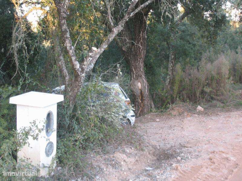 TERRENO PARA VENDA, ourém - nossa senhora da piedade - Grande imagem: 2/6