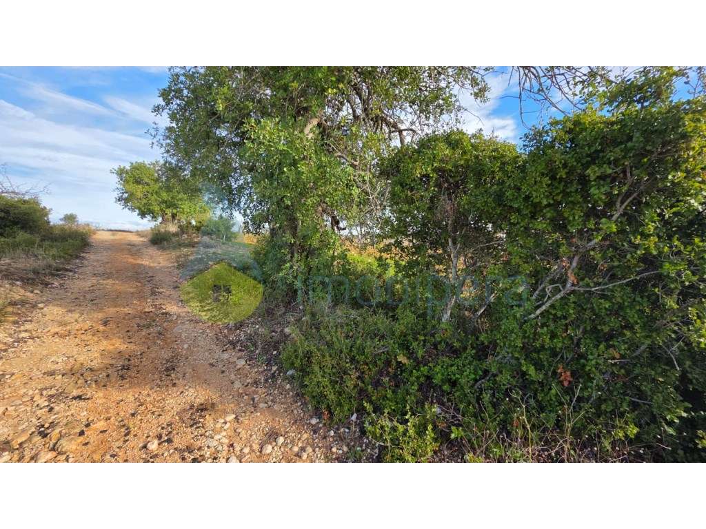 Terreno Rústico com 3730m2 em Guia, Albufeira-10