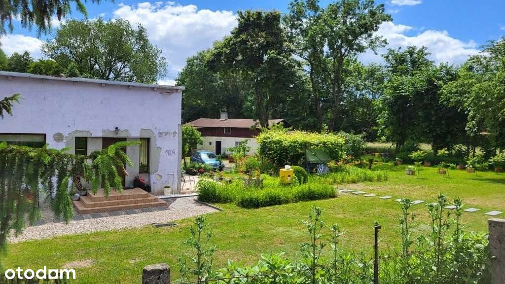 Wyjątkowe siedlisko z potencjałem. - Pełny obrazek: 5/10