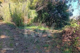 Venda de Terreno rústico com 8.124m2 na Cachouça, Barreiralva, Mafra - Grande imagem: 2/17