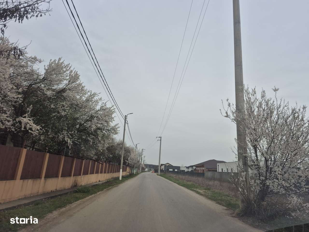 Teren Balotesti,padure Sri,400mp-1