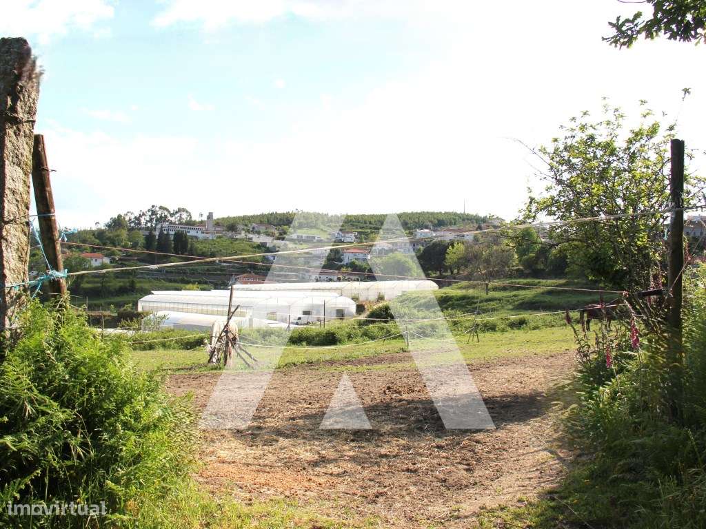 Quinta T6 histórica para recuperação, Guimarães.-28